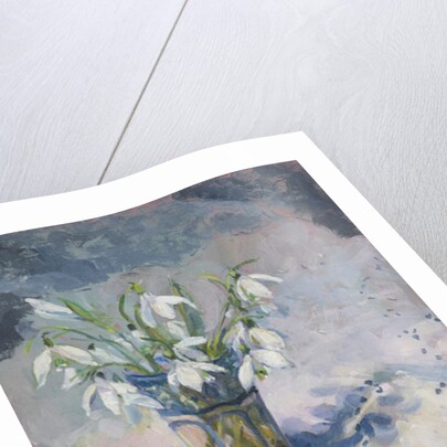 Snowdrops, 2013 by Sue Wales