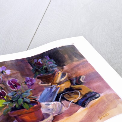 Potting up the pansies, 1996 by Sue Wales