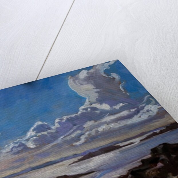 Late afternoon in Galloway, 2010 by Sue Wales