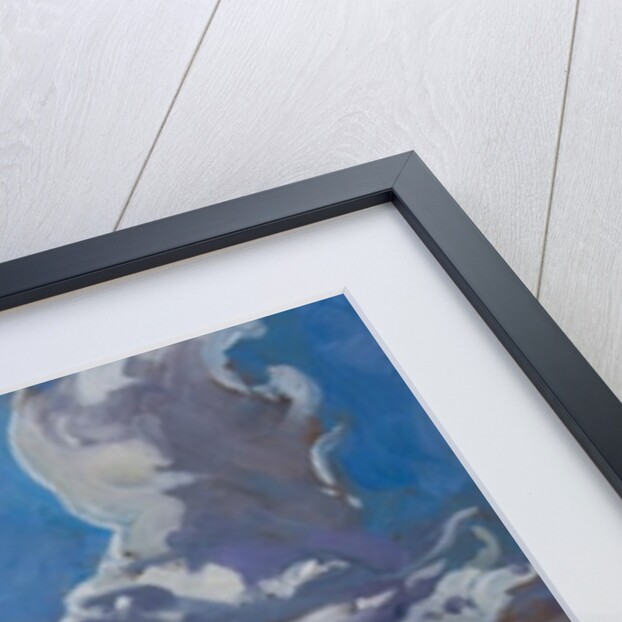 Late afternoon in Galloway, 2010 by Sue Wales