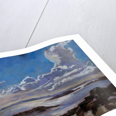 Late afternoon in Galloway, 2010 by Sue Wales