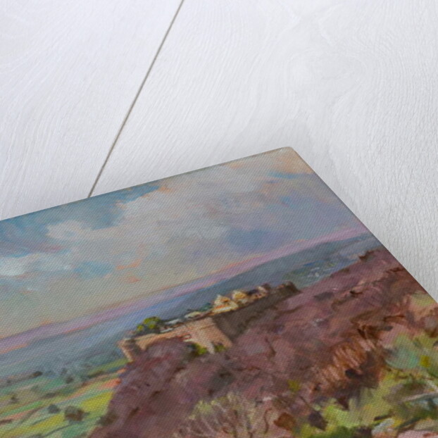 Ramathra Fort, 2019 by Sue Wales