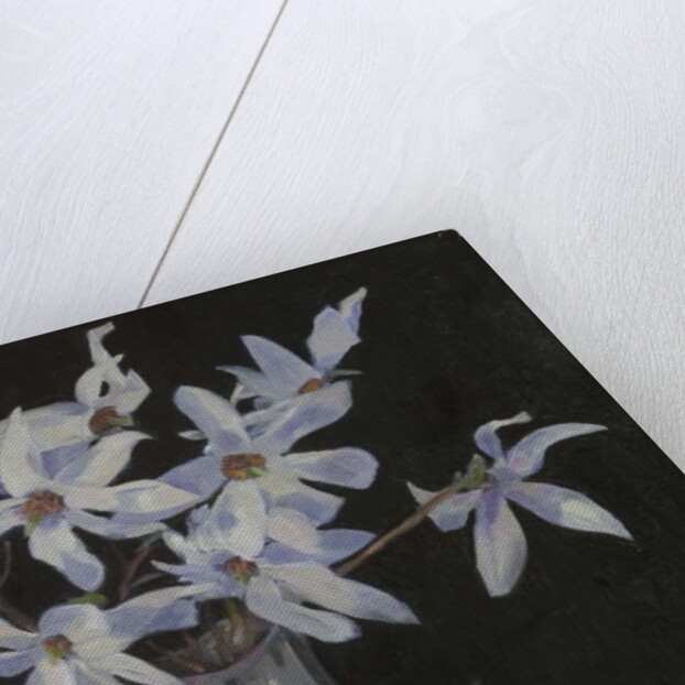 White Magnolias in Silver Jug, 2019 by Sue Wales