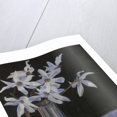 White Magnolias in Silver Jug, 2019 by Sue Wales