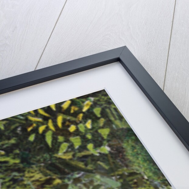 Childhood Adventure, 2015 by Kirstie Adamson