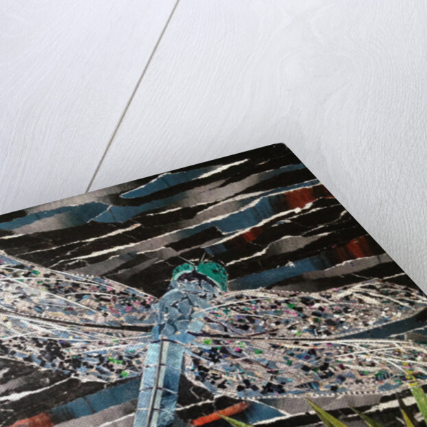 Dart - Emperor Dragonfly At Riverside, 2016 by Kirstie Adamson