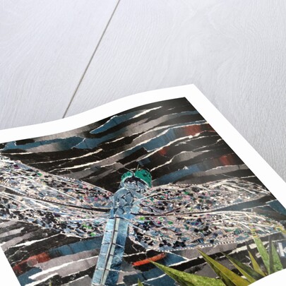 Dart - Emperor Dragonfly At Riverside, 2016 by Kirstie Adamson