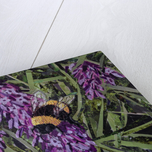 Buzz - Bumble Bee On Lavender, 2016 by Kirstie Adamson