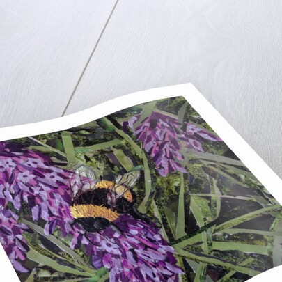 Buzz - Bumble Bee On Lavender, 2016 by Kirstie Adamson