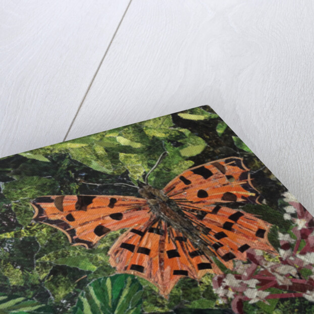 Flutter - Comma Butterfly On Japonica, 2016 by Kirstie Adamson