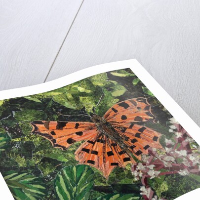 Flutter - Comma Butterfly On Japonica, 2016 by Kirstie Adamson