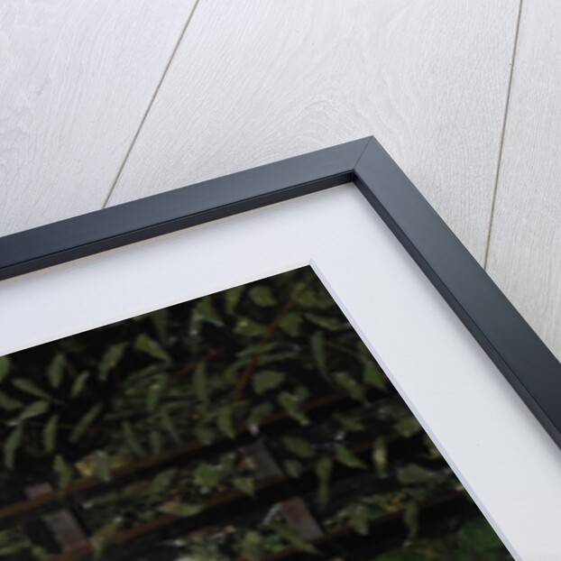 Let's Pretend - The Princess & Her Horse, 2016 by Kirstie Adamson