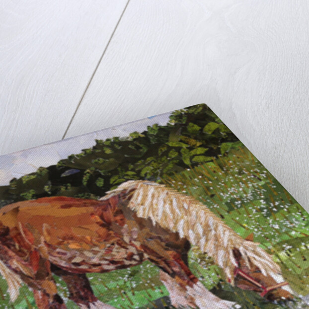 Hillside Horse, 2016 by Kirstie Adamson