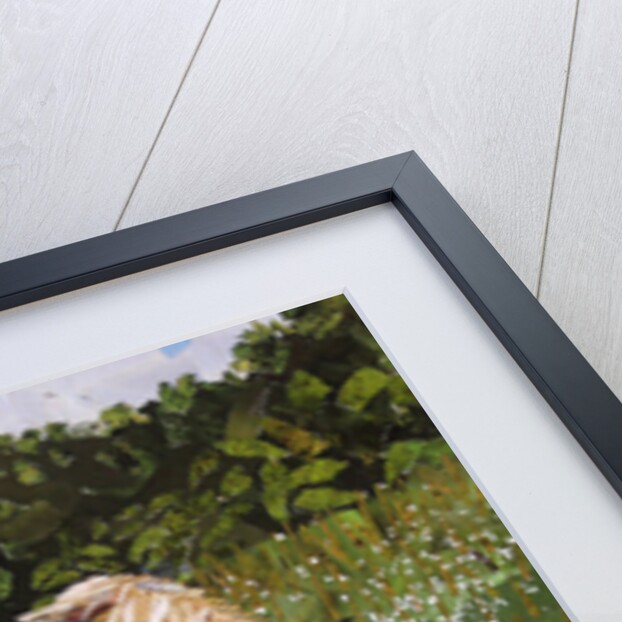 Hillside Horse, 2016 by Kirstie Adamson