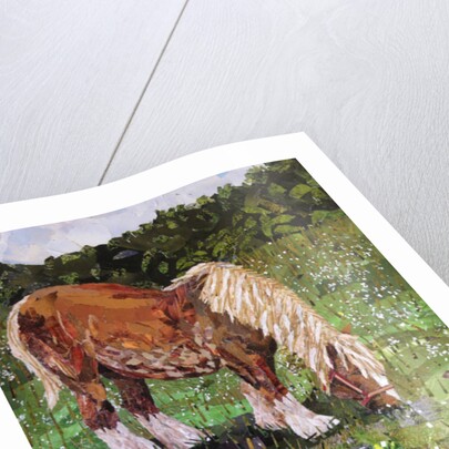 Hillside Horse, 2016 by Kirstie Adamson