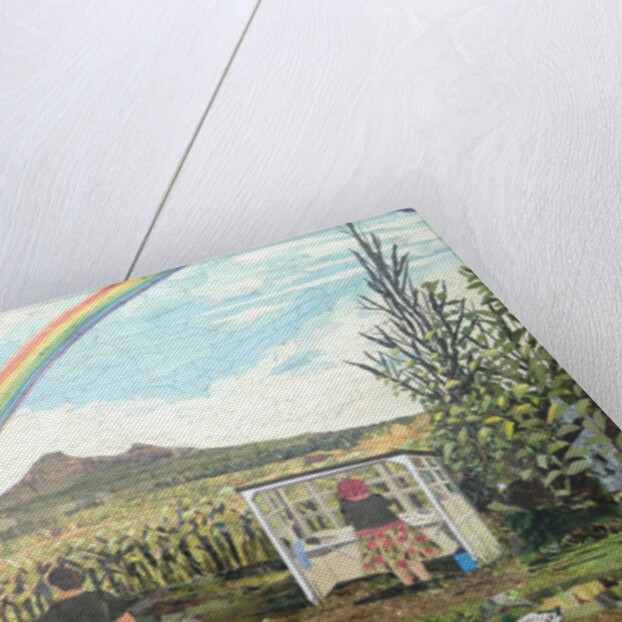 Little Oasis, 2015 by Kirstie Adamson