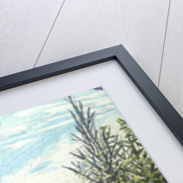 Little Oasis, 2015 by Kirstie Adamson