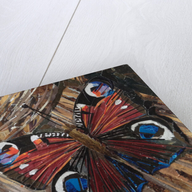 Awaken Peacock Butterfly On Woodpile, 2016 by Kirstie Adamson