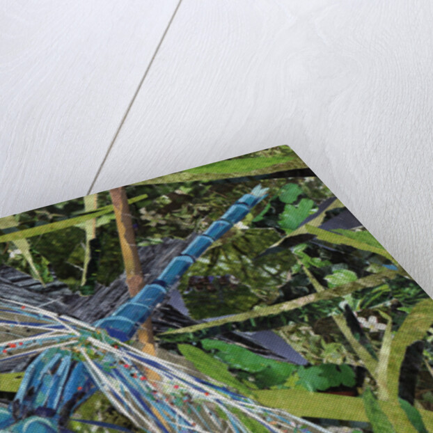 Blue Dragonfly, 2017 by Kirstie Adamson