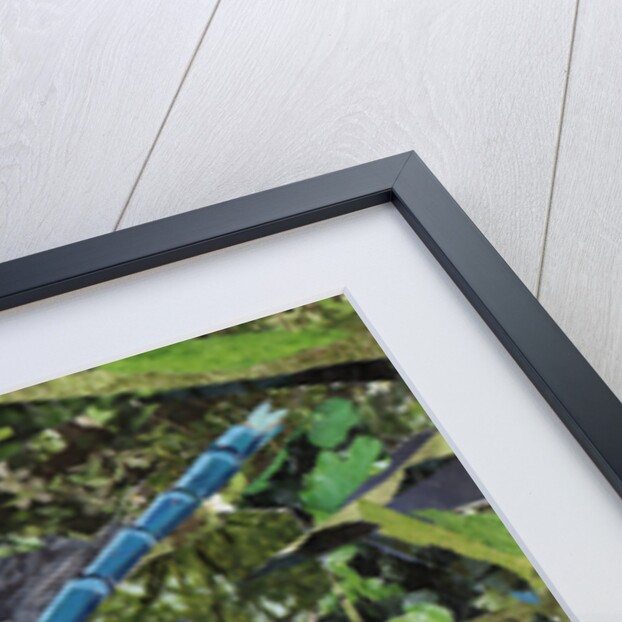 Blue Dragonfly, 2017 by Kirstie Adamson