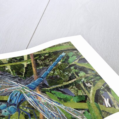 Blue Dragonfly, 2017 by Kirstie Adamson