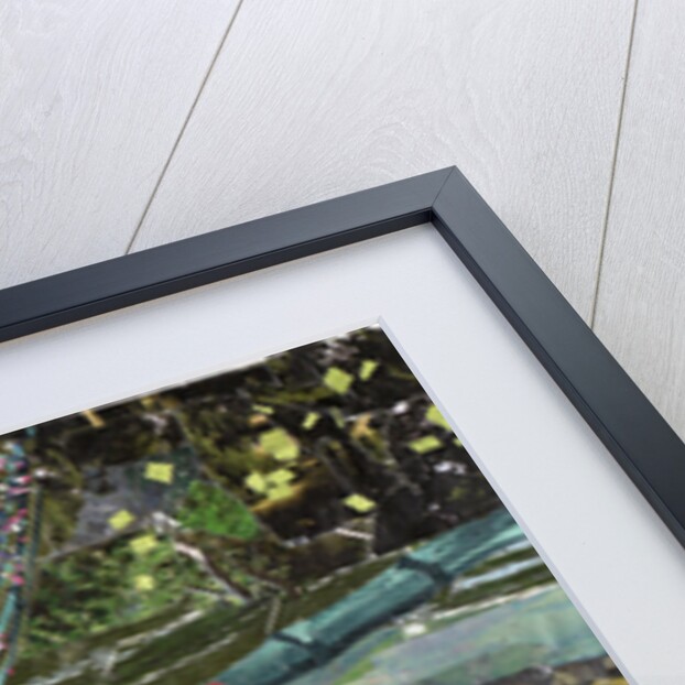 Red Dragonfly, 2017 by Kirstie Adamson