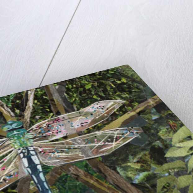 Turquoise Dragonfly, 2017 by Kirstie Adamson