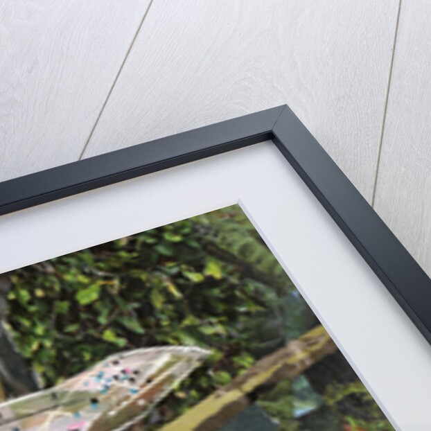 Turquoise Dragonfly, 2017 by Kirstie Adamson