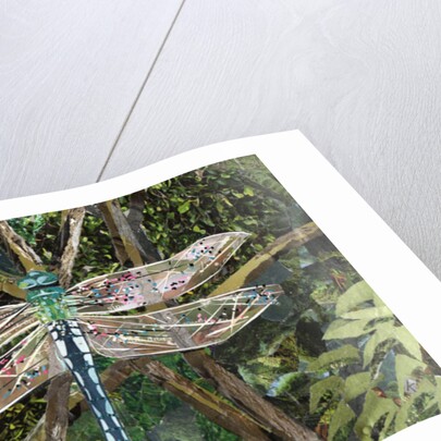 Turquoise Dragonfly, 2017 by Kirstie Adamson