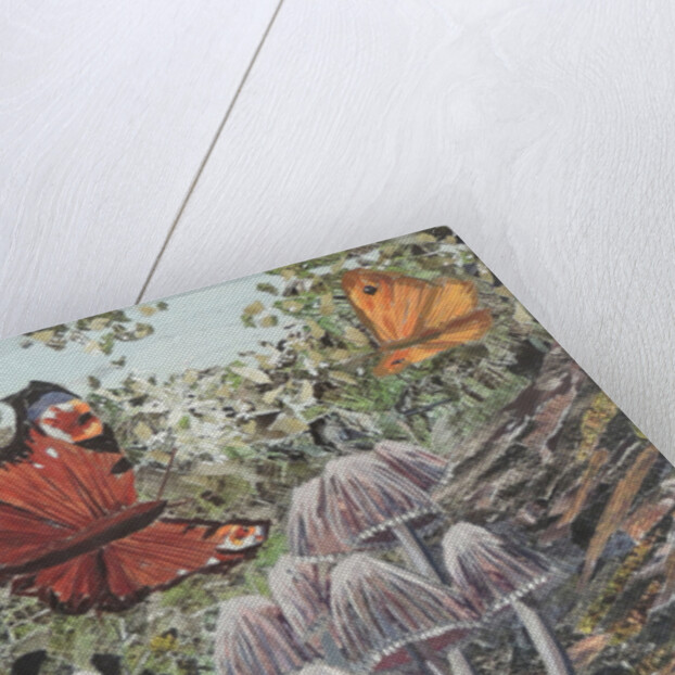 Here's A Story I Heard Tell, 2017 by Kirstie Adamson