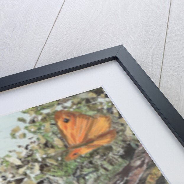 Here's A Story I Heard Tell, 2017 by Kirstie Adamson