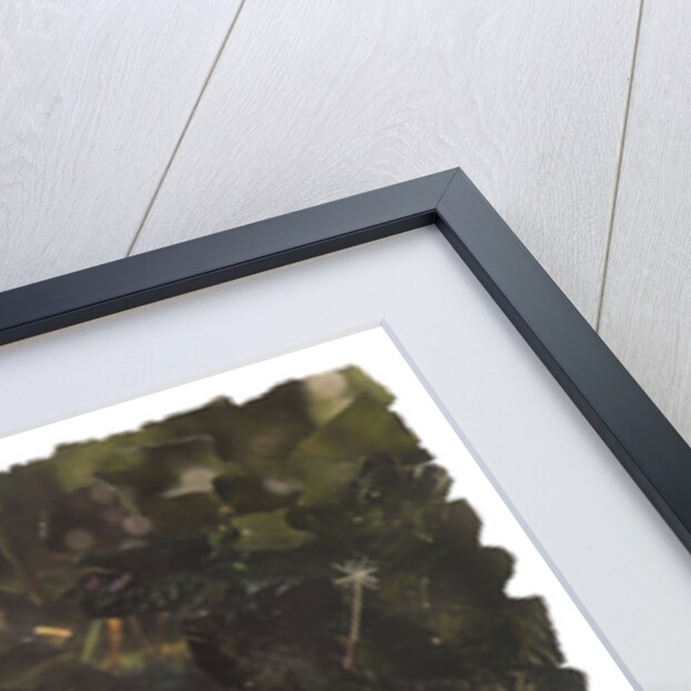 Element Fairy - Air, 2017 by Kirstie Adamson