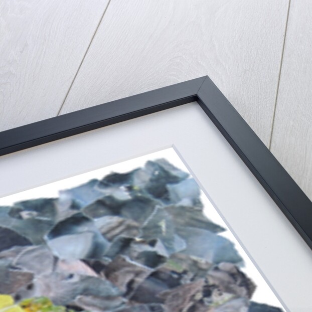 Element Fairy - Earth, 2017 by Kirstie Adamson