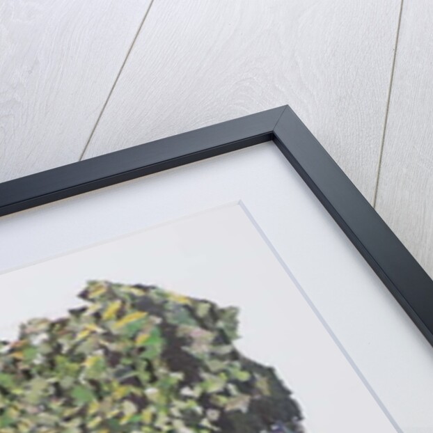 Bluebell Wood, 2017 by Kirstie Adamson