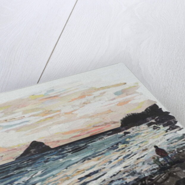 Coast, 2017 by Kirstie Adamson