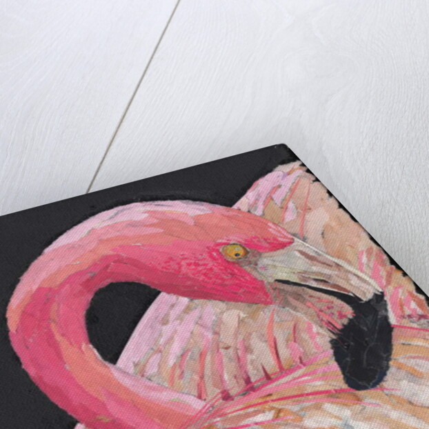 Flamingo, 2018 by Kirstie Adamson
