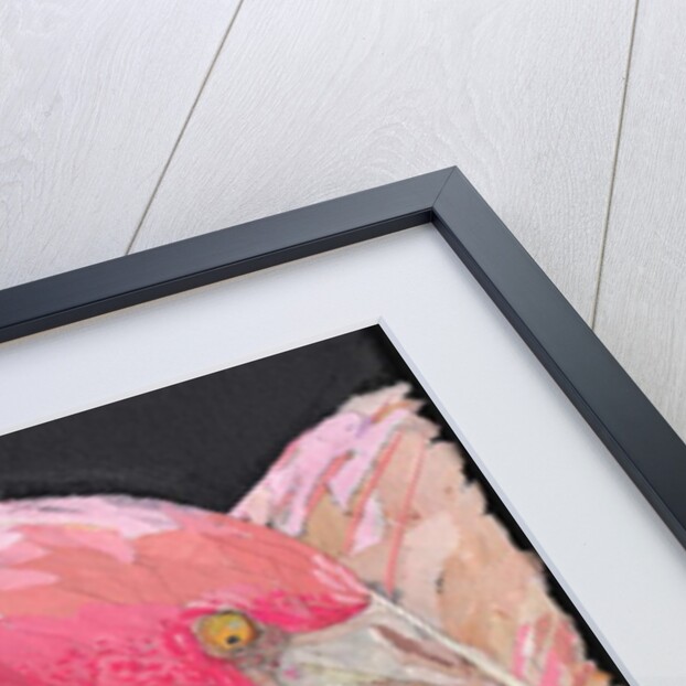 Flamingo, 2018 by Kirstie Adamson