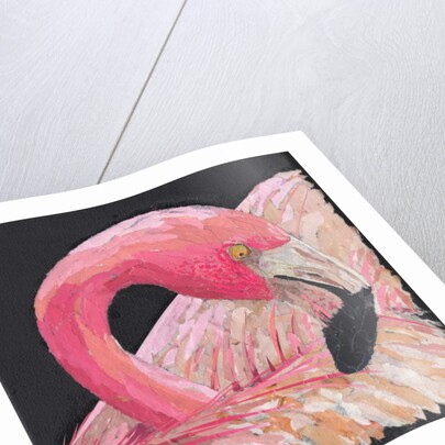 Flamingo, 2018 by Kirstie Adamson