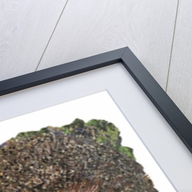 Gardener's Friend, 2018 by Kirstie Adamson