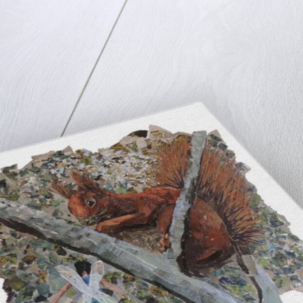 Hazelnut Hunt, 2018 by Kirstie Adamson