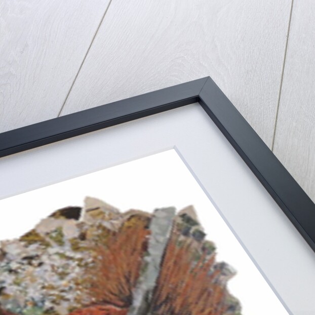 Hazelnut Hunt, 2018 by Kirstie Adamson