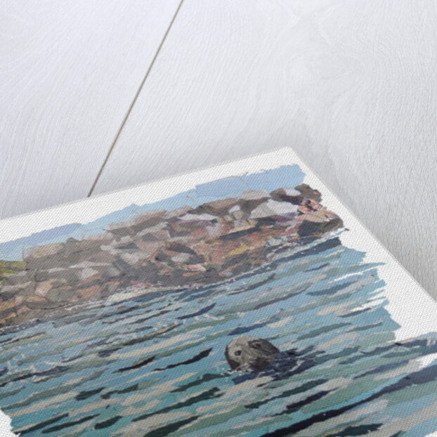 Seal Island, 2018 by Kirstie Adamson