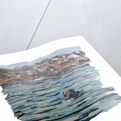 Seal Island, 2018 by Kirstie Adamson
