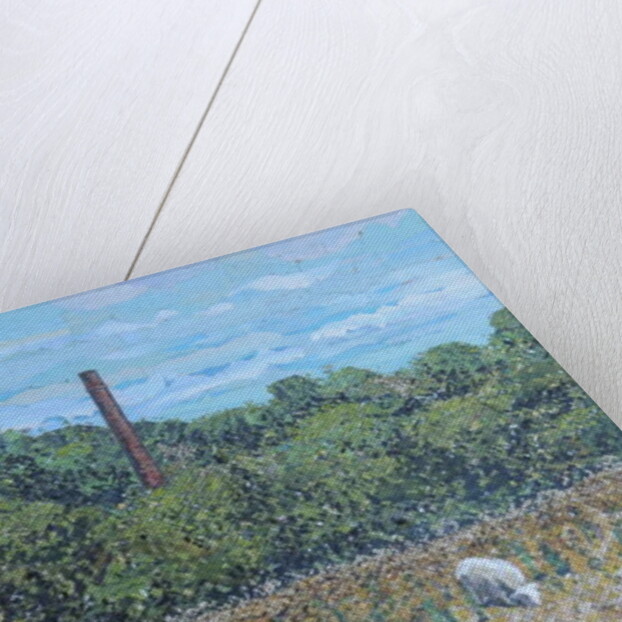 Path To Duffield, 2018 by Kirstie Adamson