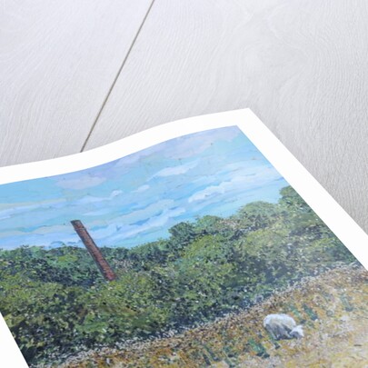 Path To Duffield, 2018 by Kirstie Adamson