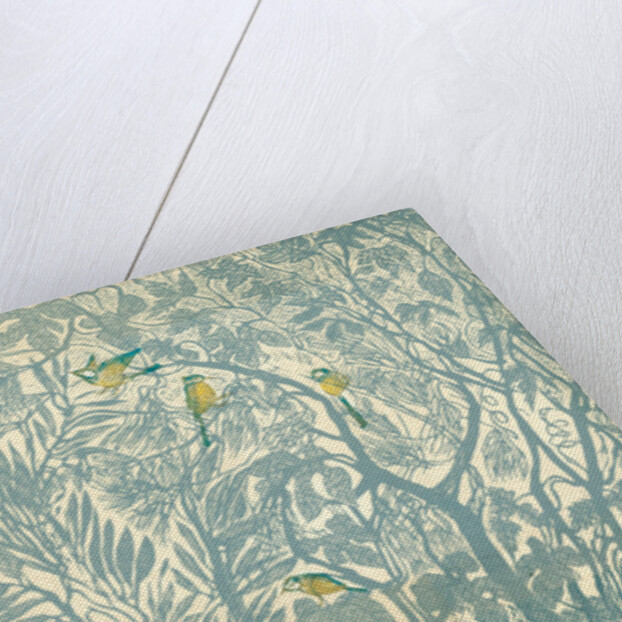 Bird watching from the kitchen window: robin, 2012 by Mary Kuper