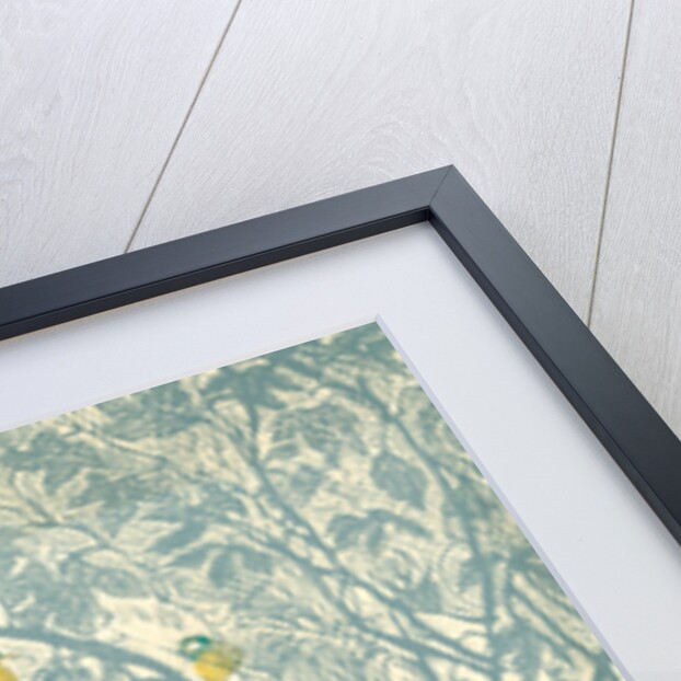 Bird watching from the kitchen window: robin, 2012 by Mary Kuper