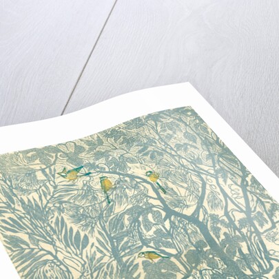 Bird watching from the kitchen window: robin, 2012 by Mary Kuper