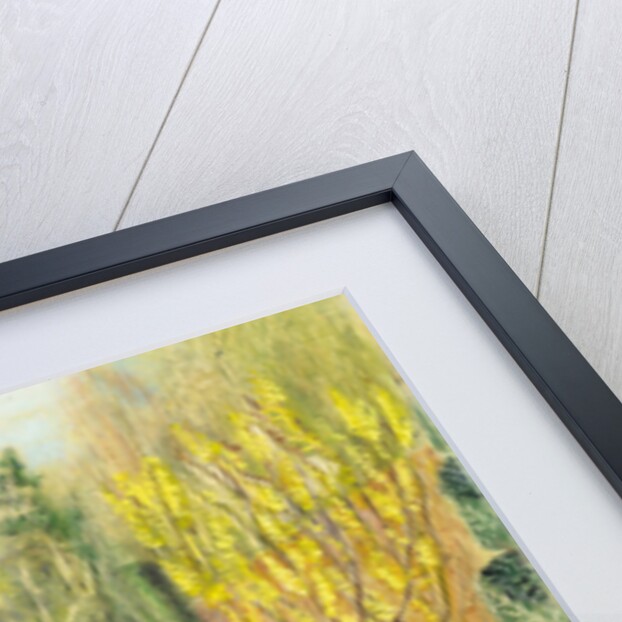 The Long garden, Cliveden: Topiary, 2002 by Mary Kuper