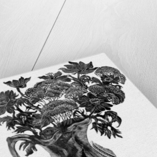 Anemones, 1996 by Mary Kuper